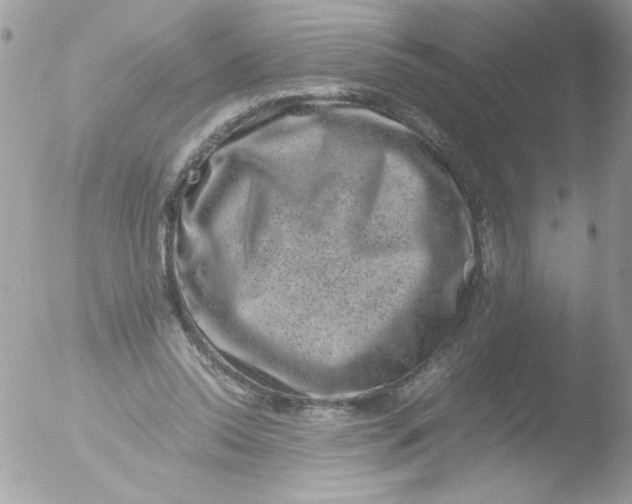 X0000051880350200507151918