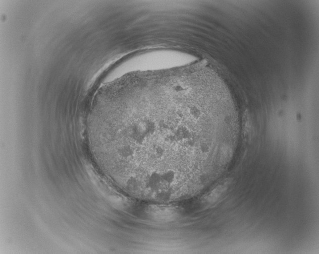 X0000051880351200507151918