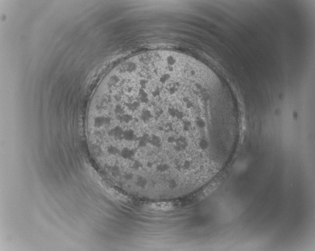 X0000051880353200507151918