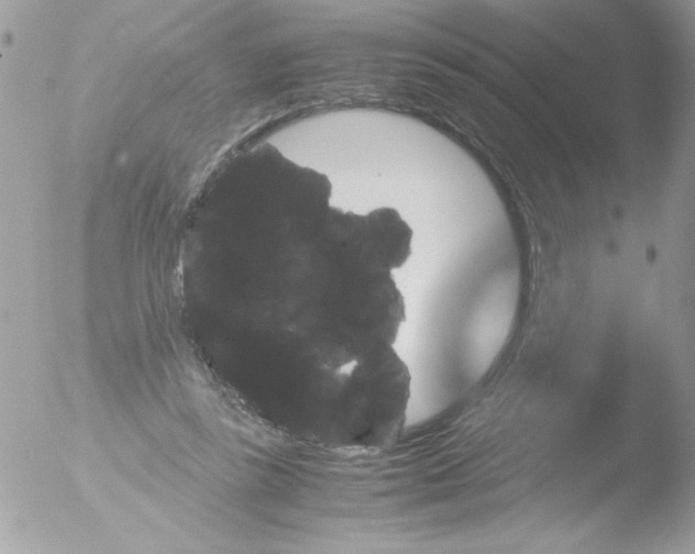 X0000051880355200507151918