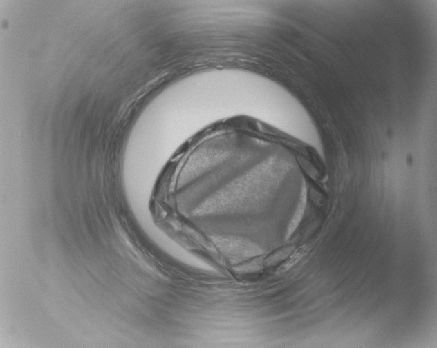 X0000051880356200507151918