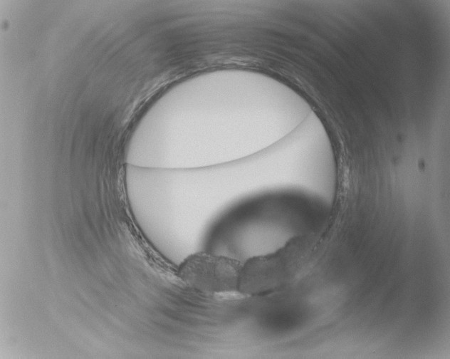 X0000051880357200507151918