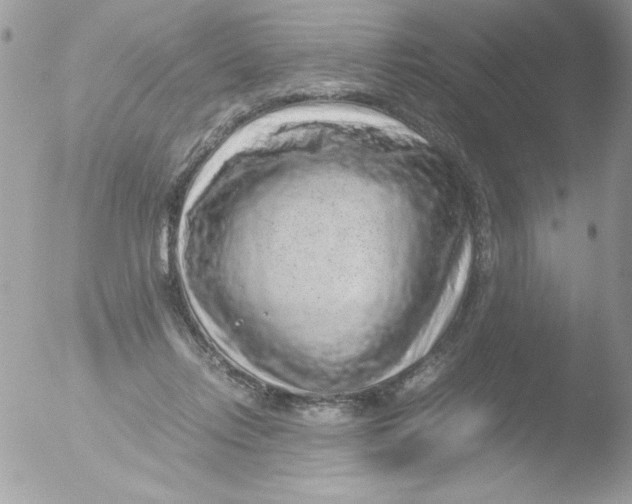 X0000051880358200507151918