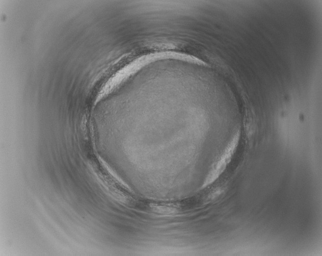 X0000051880359200507151918