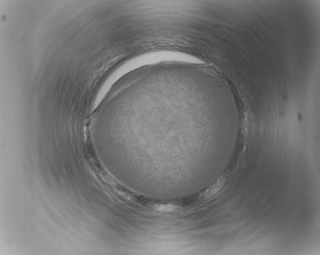 X0000051880360200507151918