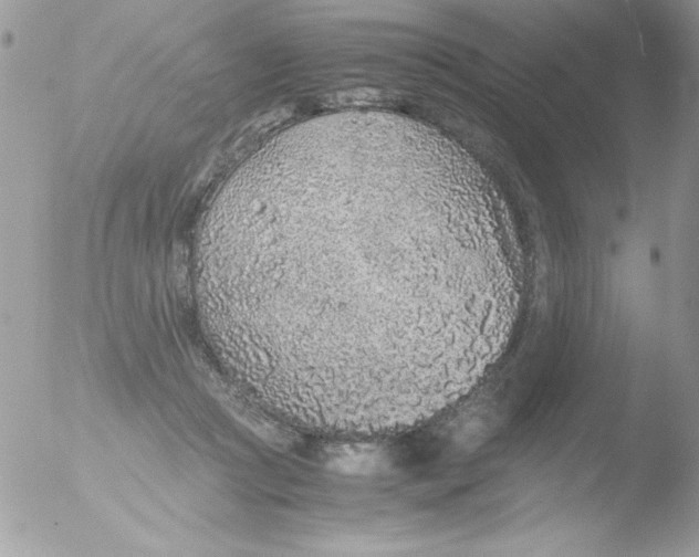 X0000051880361200507151918