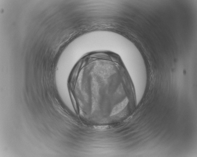 X0000051880362200507151918