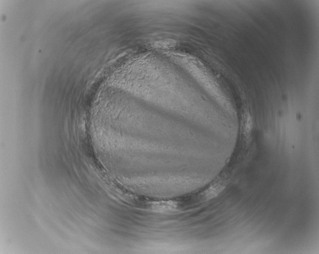 X0000051880363200507151918