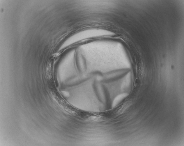 X0000051880364200507151918