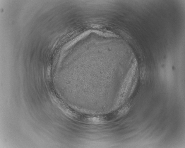 X0000051880365200507151918