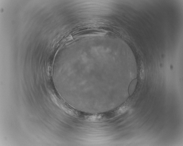 X0000051880366200507151918