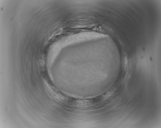 X0000051880367200507151918