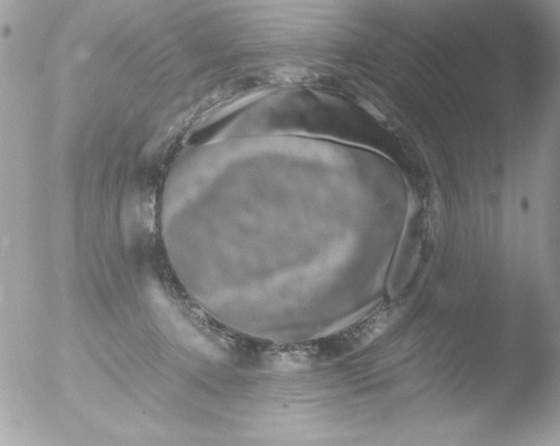 X0000051880368200507151918