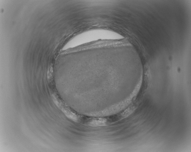 X0000051880369200507151918