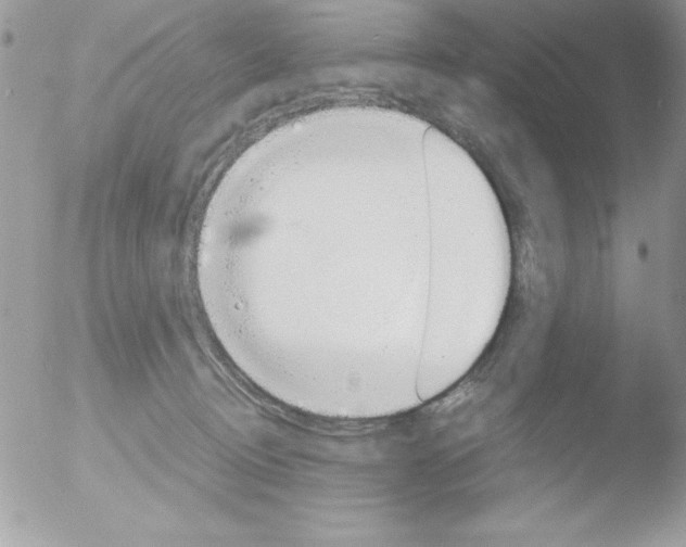 X0000051880370200507151919