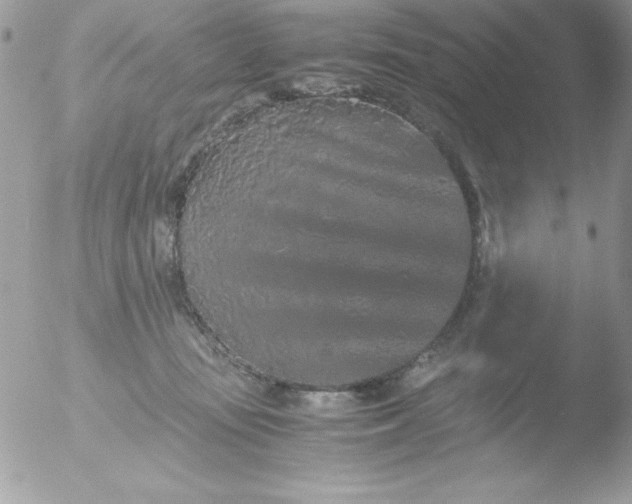 X0000051880371200507151919