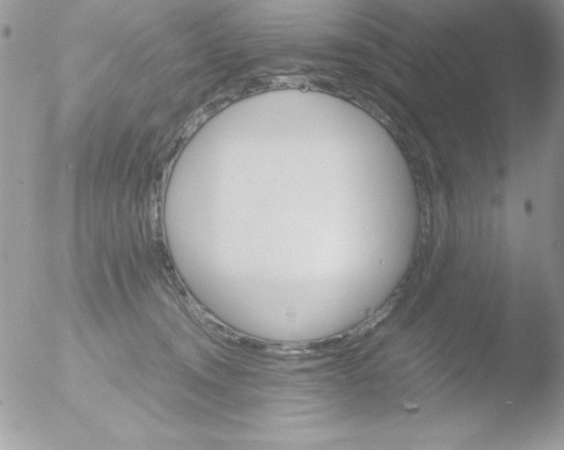 X0000051880372200507151919