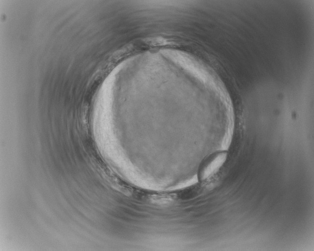 X0000051880373200507151919