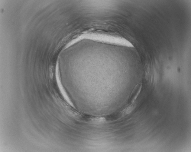 X0000051880374200507151919