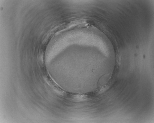 X0000051880375200507151919