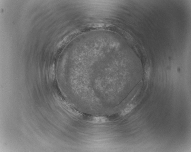 X0000051880376200507151919