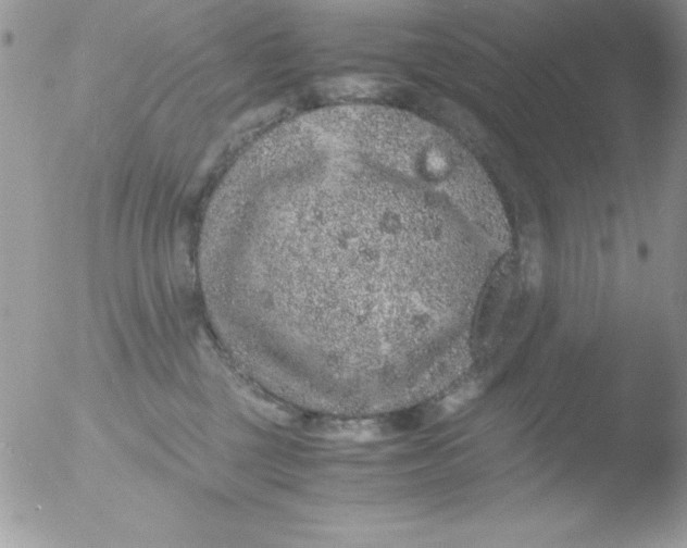 X0000051880377200507151919