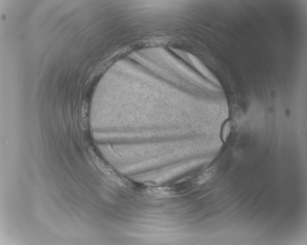 X0000051880378200507151919