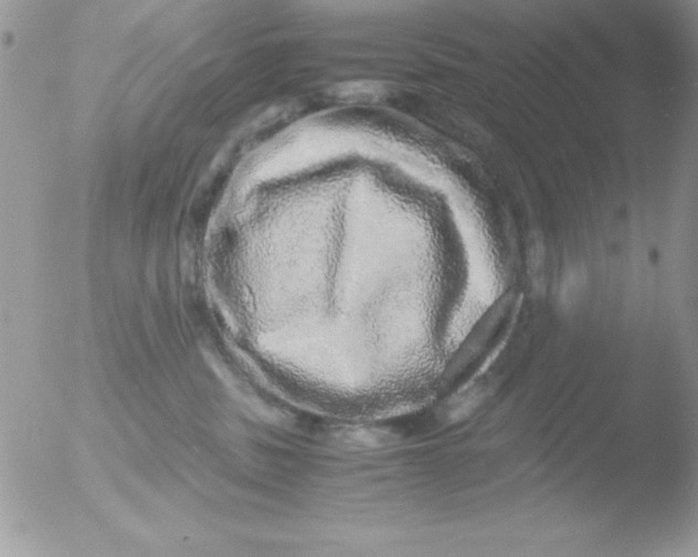 X0000051880379200507151919