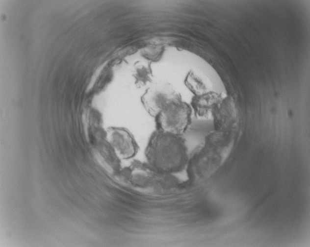 X0000051880381200507151919