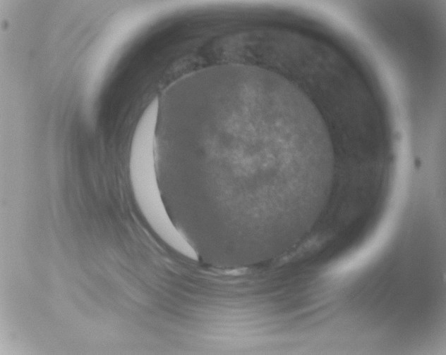 X0000051880382200507151919