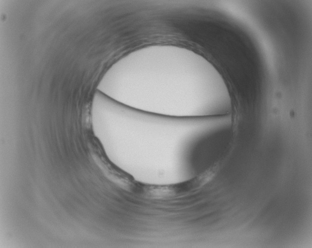 X0000051880383200507151919