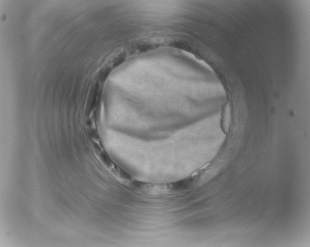 X0000051880384200507151919