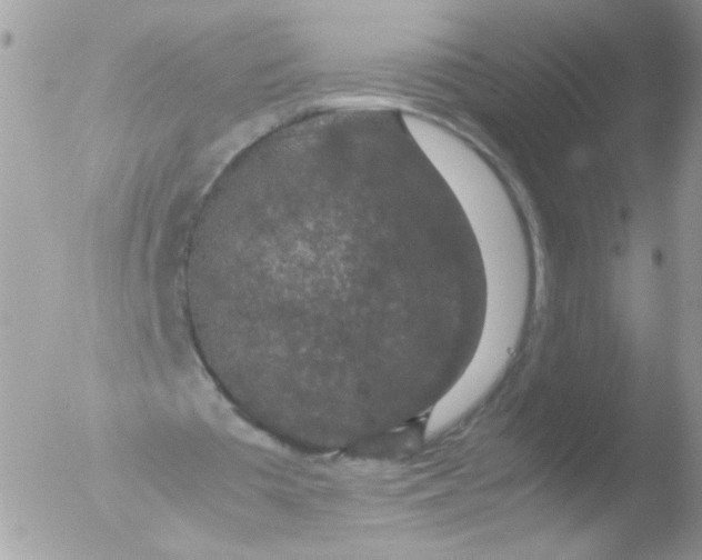 X0000051880385200507151918