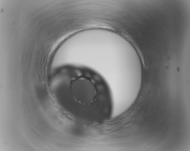 X0000051880387200507151918