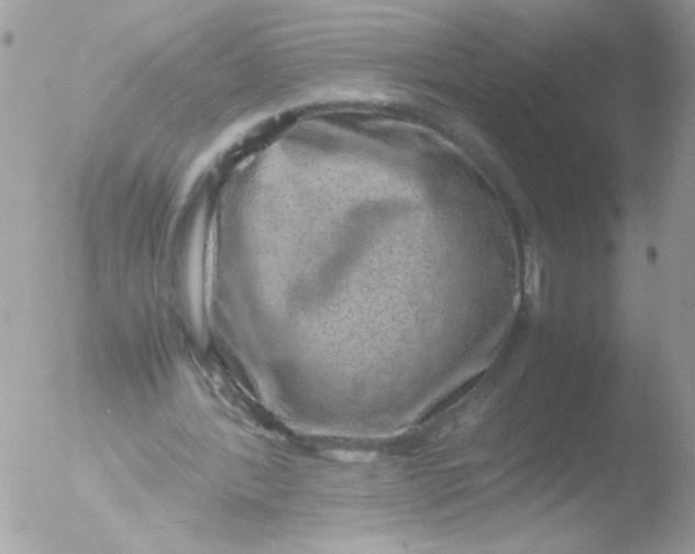 X0000051880388200507151918