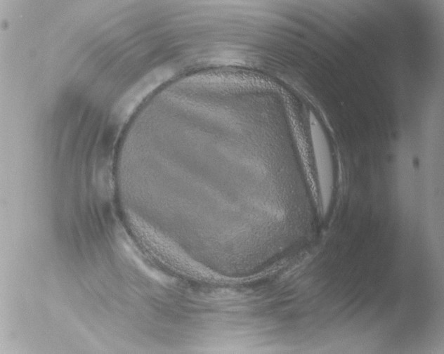 X0000051880390200507151918