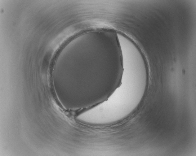 X0000051880391200507151918