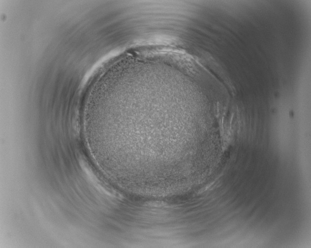 X0000051880392200507151918