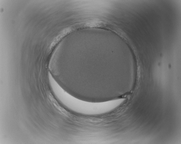 X0000051880393200507151918