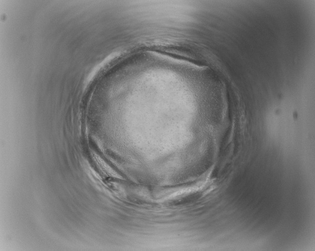 X0000051880395200507151918