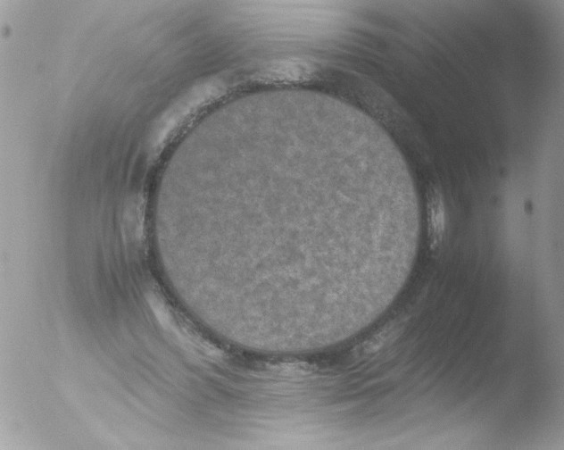 X0000051880396200507151918