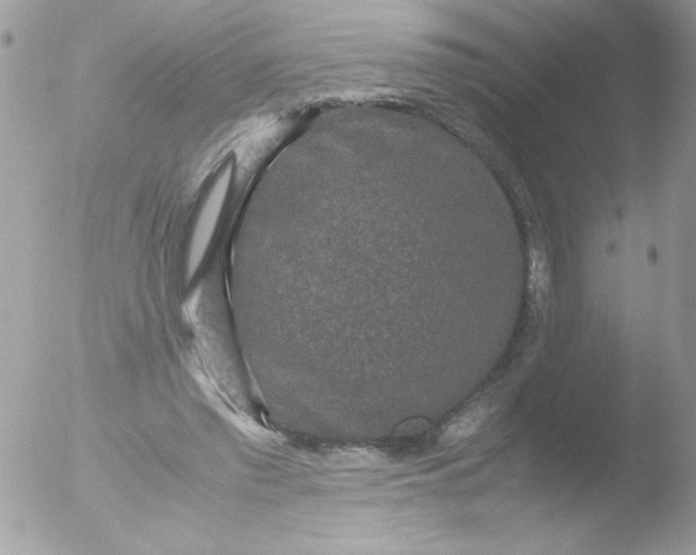 X0000051880397200507151918