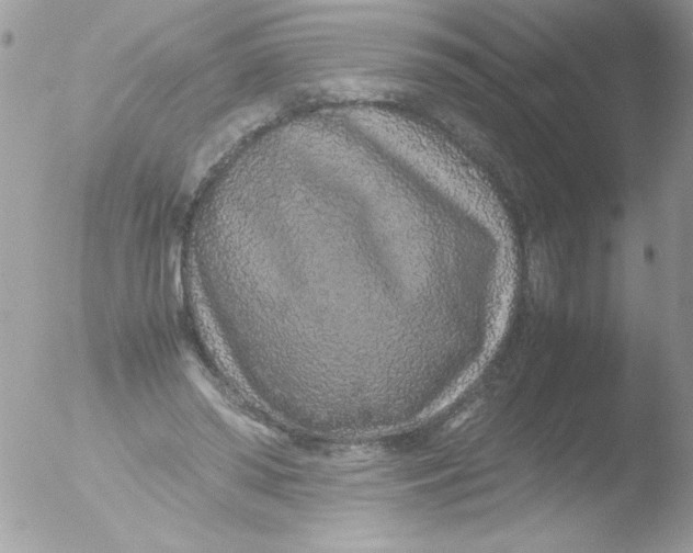 X0000051880398200507151918