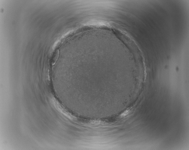 X0000051880399200507151918