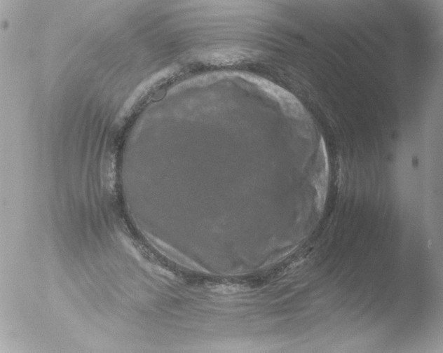 X0000051880400200507151918