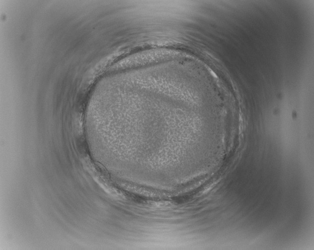 X0000051880401200507151918