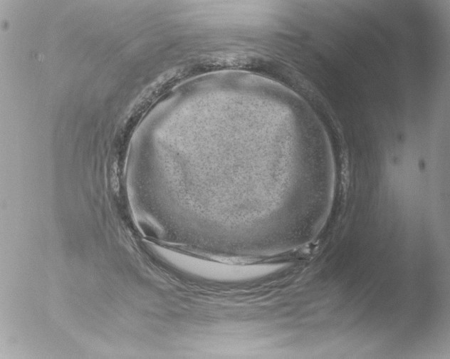 X0000051880403200507151918