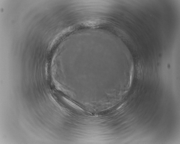 X0000051880404200507151918