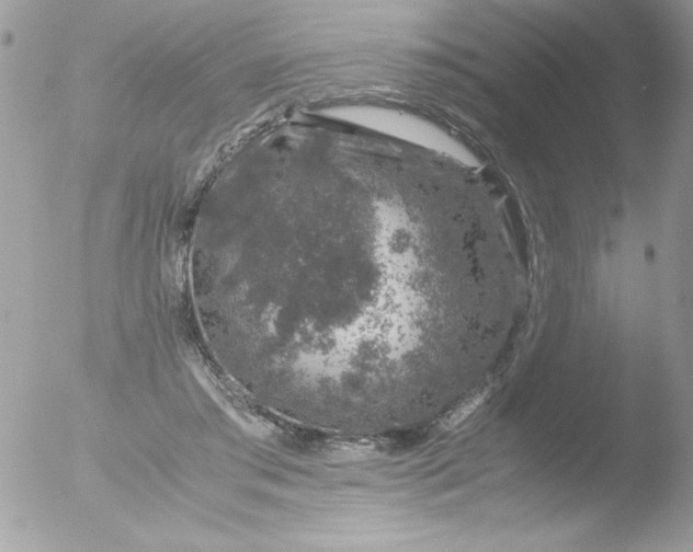 X0000051880405200507151918