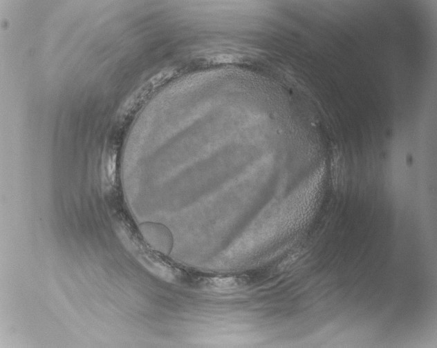 X0000051880406200507151918